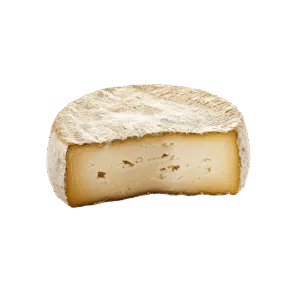 Petite tomme