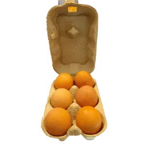 Oeufs